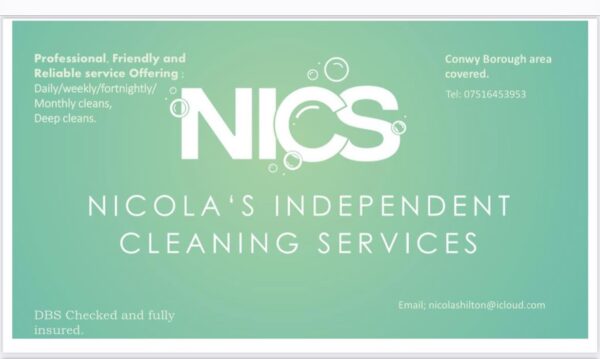 Nicolas independent cleaning solutions